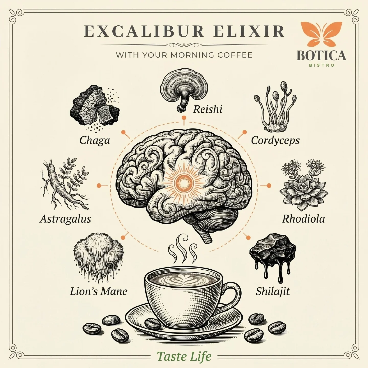 Excalibur Elixir · organic blend of 7 adaptogens by 3 TESOROS